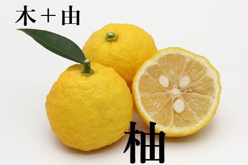 木 由の漢字 柚 読み方や意味などを一発チェック